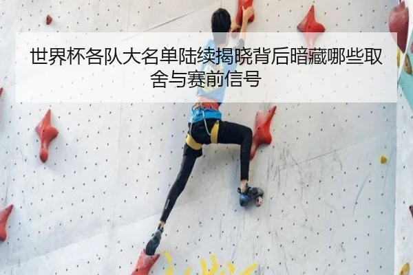 世界杯各队大名单陆续揭晓背后暗藏哪些取舍与赛前信号